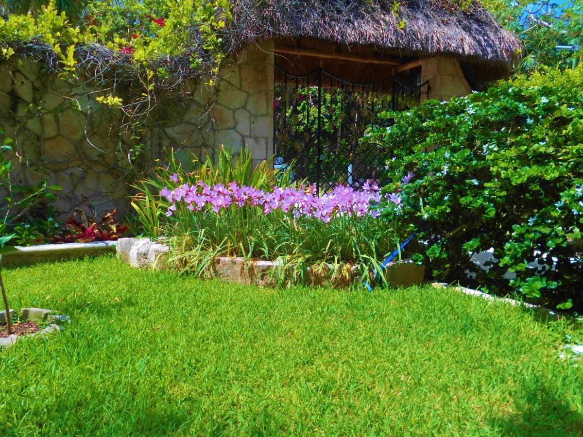 Casa Gatos Aparthotel Akumal Eksteriør bilde