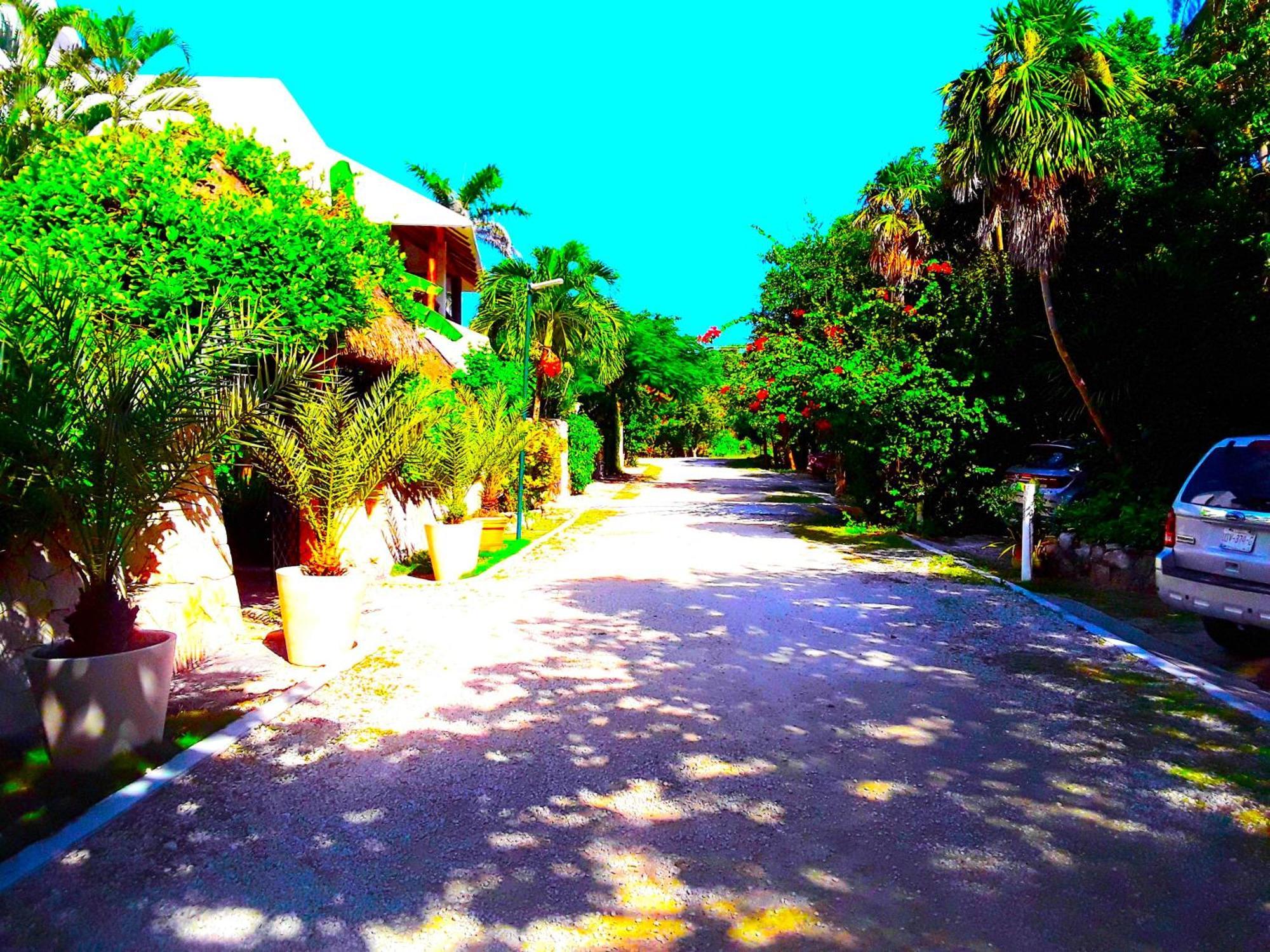 Casa Gatos Aparthotel Akumal Eksteriør bilde